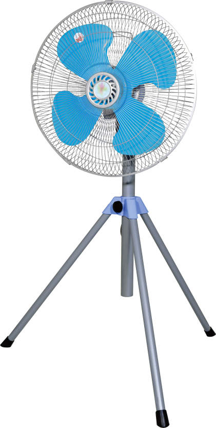 100V