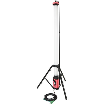 100V